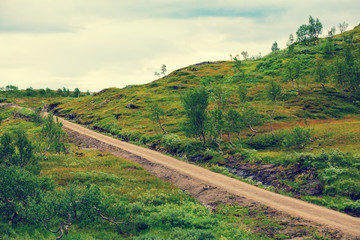 Dirt road in the field. Beautiful nature of Norway