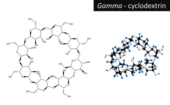 Molecular structure of gamma cyclodextrin, 3d rendering