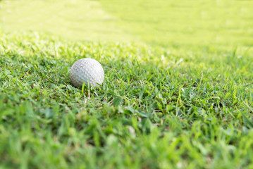 golf ball on lip of cup. Golf ball on green grass in golf course