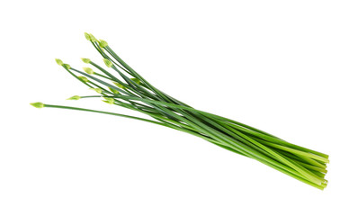 Chives flower or Chinese Chive isolated on white background