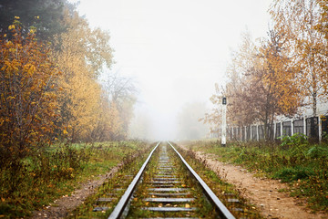 Fototapeta premium railway in the fog going to perspective, golden leaves of the forest