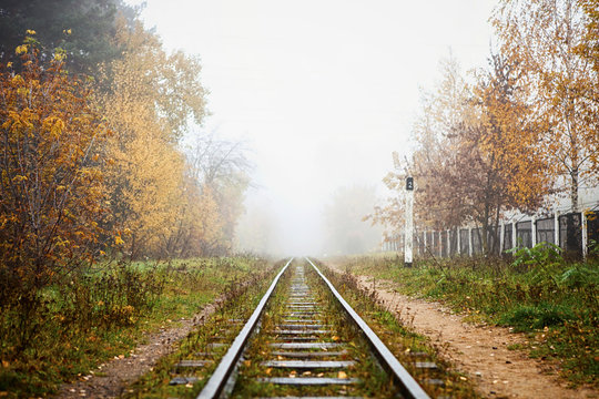 Fototapeta railway in the fog going to perspective, golden leaves of the forest