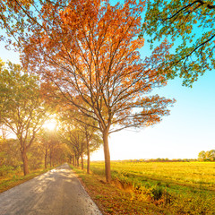 autumn in East Frisia