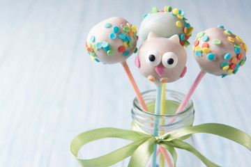 Owl cake pops with multi colored sprinkles in the bottle with blue smarties, sweet food for kids