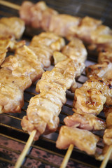 Chicken Skewers