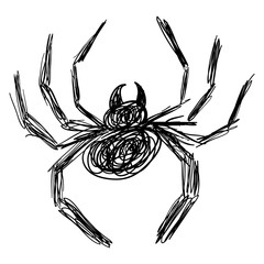 Black Hand Drawn Spider Sketch - Doodle Isolated
