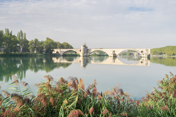 Avignon - France