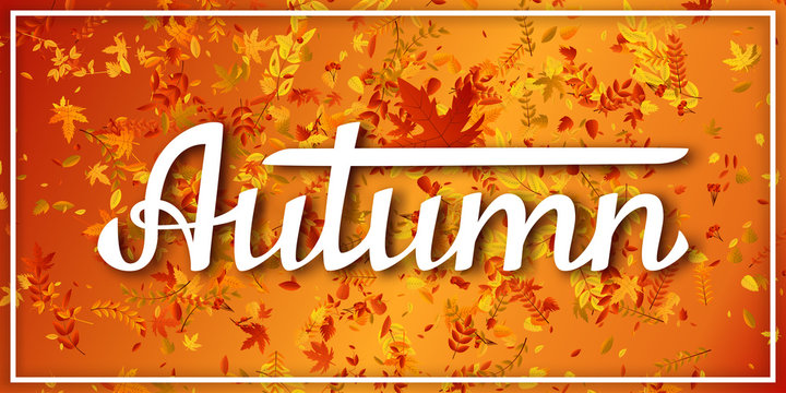 Vector realistic isolated lettering with red, yellow and orange maple and oak falling leaves confetti for decoration and covering on the gradient background. Concept of Happy Autumn.