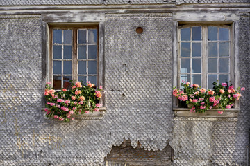 Fototapeta na wymiar Schindelfassade eines alten Bauernhauses