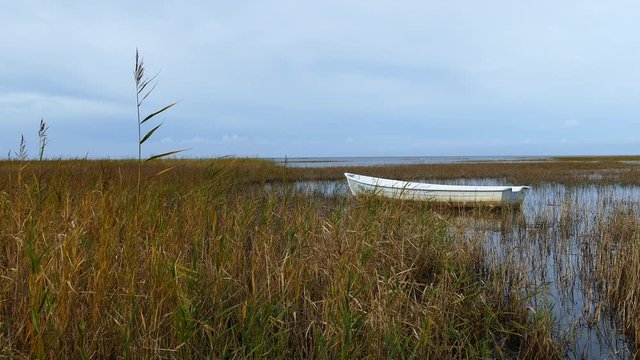 Boat in between the reed during autumn in kabli Estonia