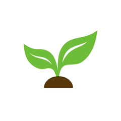 Eco icon green leaf vector illustration isolated