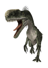 3D Rendering Dinosaur Monolophosaurus on White
