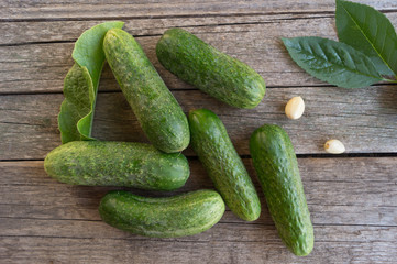 Dry dill with garlic cloves and green cucumbers for pickles on the wooden table