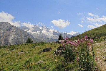 Gand Paradis vus d'Orvieille, Valsavarenche, Italie