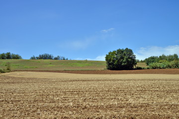 Fototapeta premium panorama del Monferrato, Piemonte, Italia