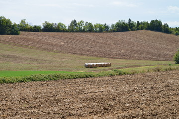 panorama del Monferrato, Piemonte, Italia