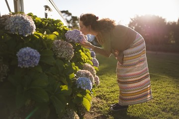 Side view of woman smelling flowers