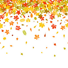 Seamless border Autumn falling leaf on white background.