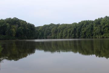 The trees reflecting off the lake water.