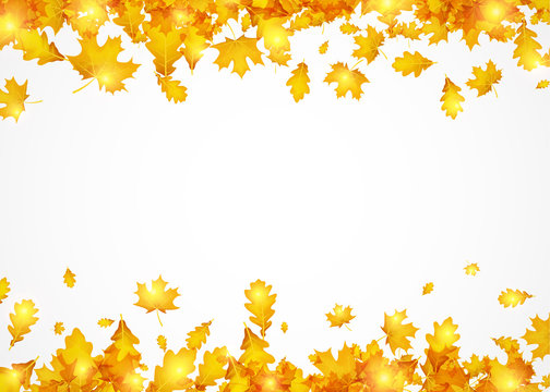 Autumn background with golden leaves.