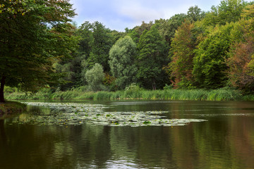  pond in the middle of the forest at the end of summer
