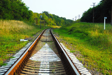Fototapeta premium a railway in the spring forest