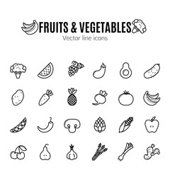 Fruit and vegetables vector thin line icon set. Vegan natural bio pictograms. Artichoke, asparagus, wheat, bananas, grapes, leeks, garlic, ginger and others organic food signs.