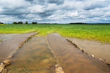 Wet field after heavy rain.