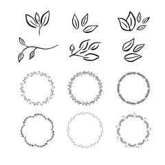 Fototapeta premium Vector floral with leaves, branches, circle plant elements