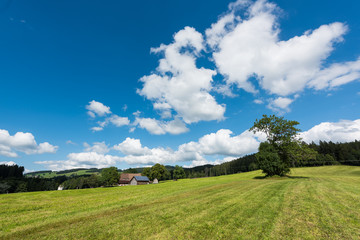 Fototapeta na wymiar Typical German farm in the meadows of the Black Forest