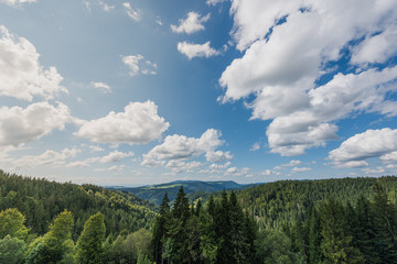 Fototapeta na wymiar Landscape of the Black Forest in Germany