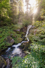 Sunny day at the Triberg Falls in the Black Forest
