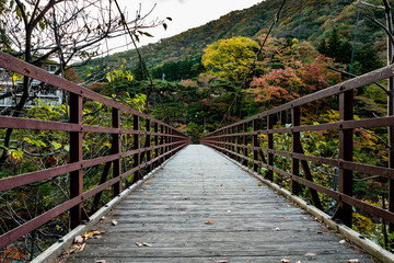Fototapeta na wymiar Suspension bridge, Kinugawa Onsen Japan