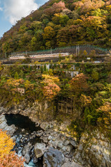 Fototapeta na wymiar Autumn tourism season by train, Kinugawa Onsen Japan