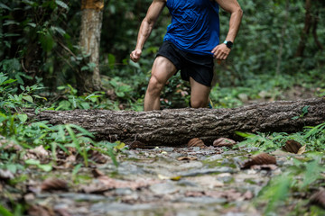 Athletic runner running on the tropical in the forest trail, dramatic tone