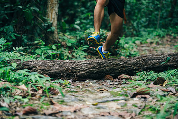 Athletic runner jumping on the cross tree and trunk on the tropical in the forest trail running