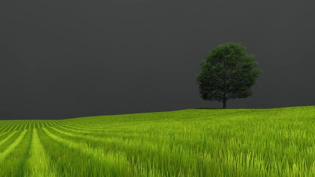 Changing the weather from the sun to the rain. Singl tree.