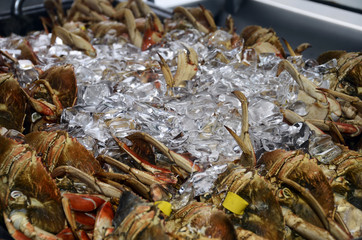 Crab claws and ice cubes