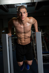 Fototapeta na wymiar man doing triceps dip on parallel bars in gym