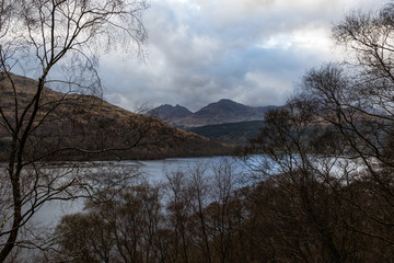 Fototapeta na wymiar A view of Loch Lomond through the trees 
