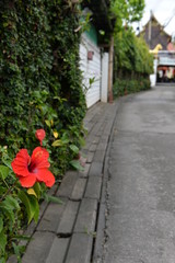 タイ　チェンマイの風景
