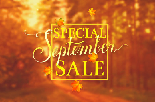 September Sale. Vector Banner.