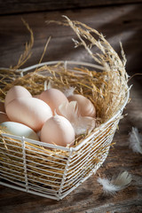 Good free range eggs from the countryside