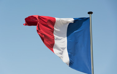 Naklejka na ściany i meble French flag