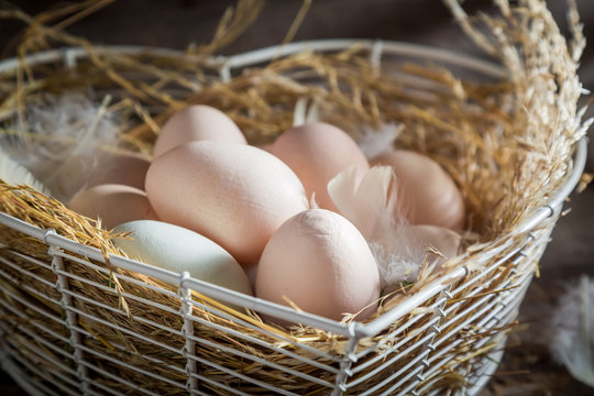 Good and ecological eggs from the henhouse