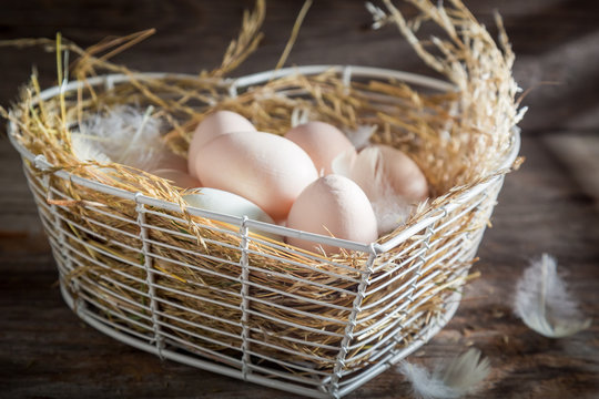 Healthy and ecological eggs from the farm