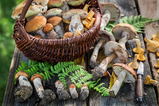 Various wild mushrooms on old wooden rustic table