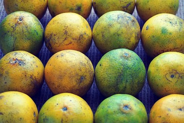 Fresh Green orange fruits isolated
