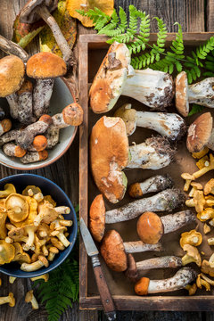 Various wild mushrooms straight from the forest