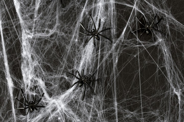 halloween decoration of black toy spiders on web